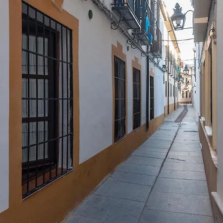 Horno24, Con Patio Andaluz, Tipico De Cordoba