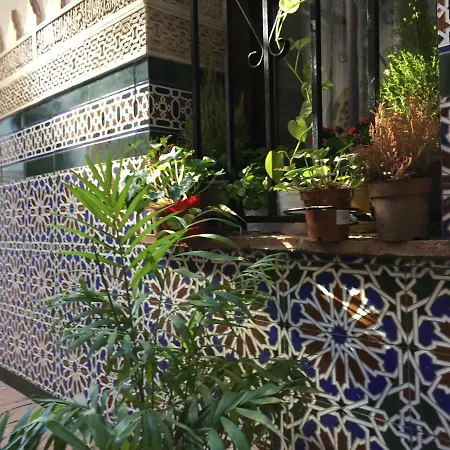 Apartment Horno24, Con Patio Andaluz, Tipico De